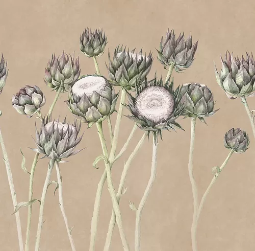 Artichoke