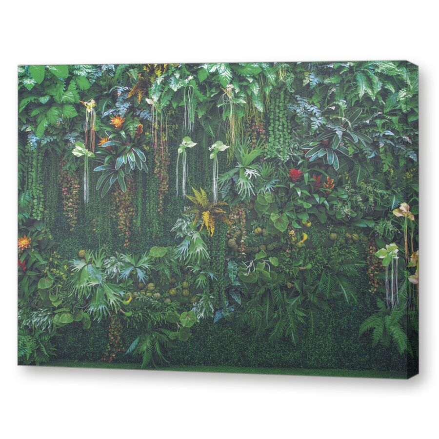 Oasis green на подрамнике