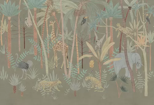 Safari