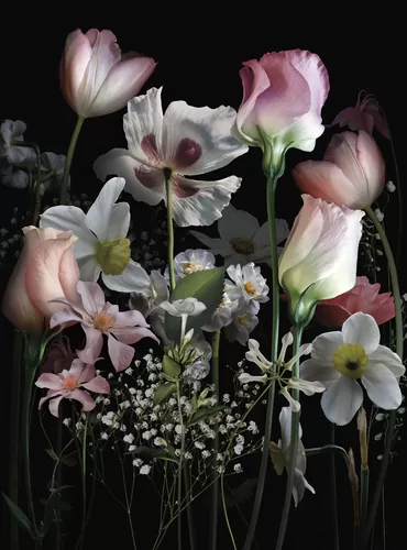 Night bouquet