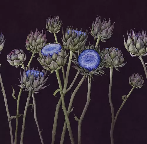 Artichoke