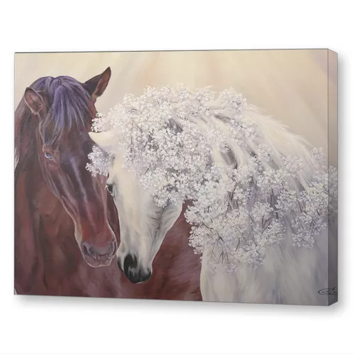 Идеальная пара