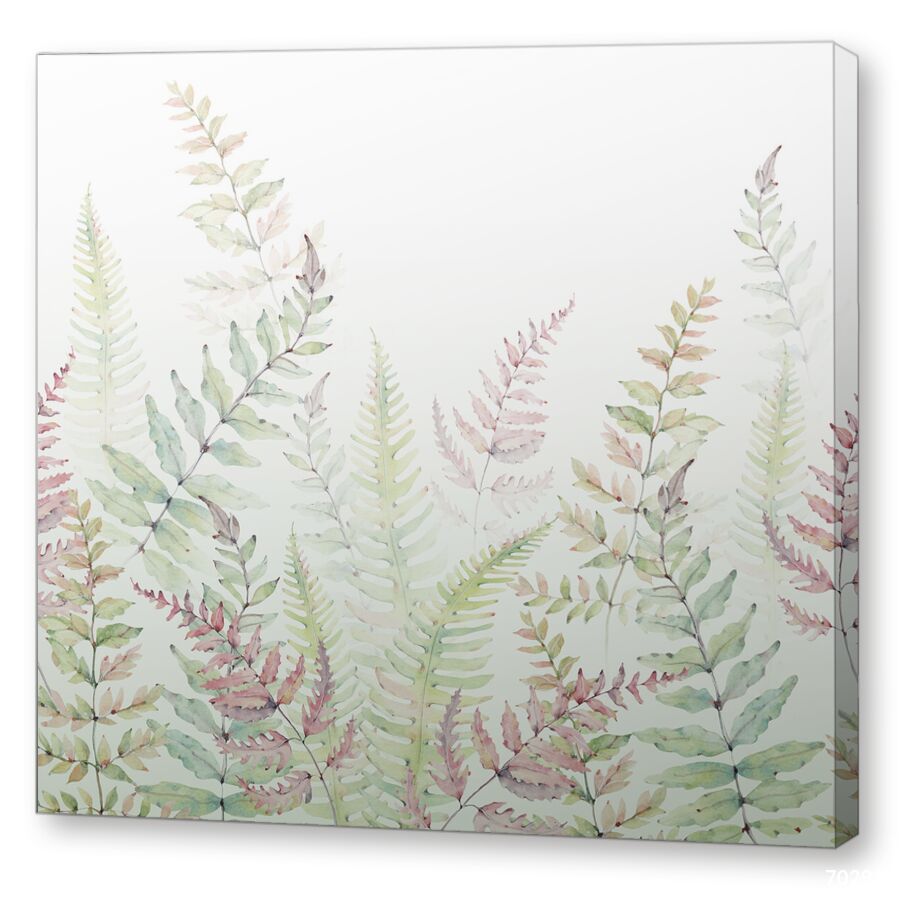 Fern на подрамнике