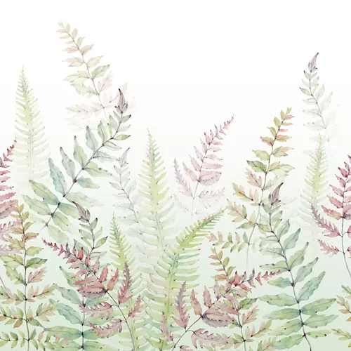 Fern