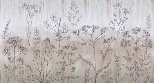 Wildflowers sepia