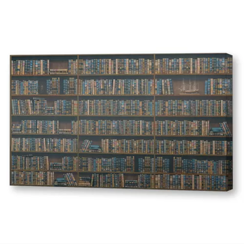 Книжные полки