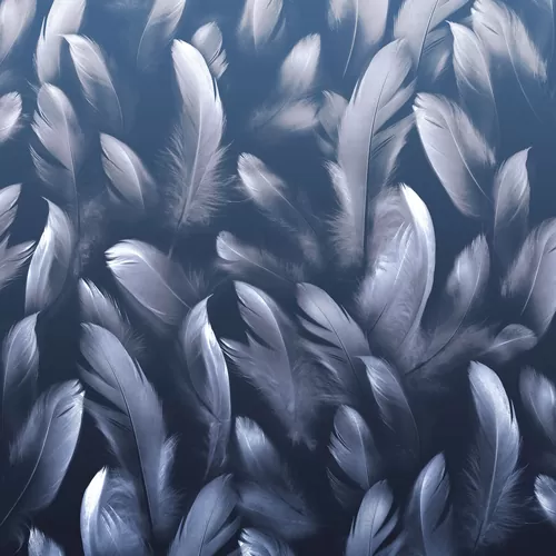 Feather blue