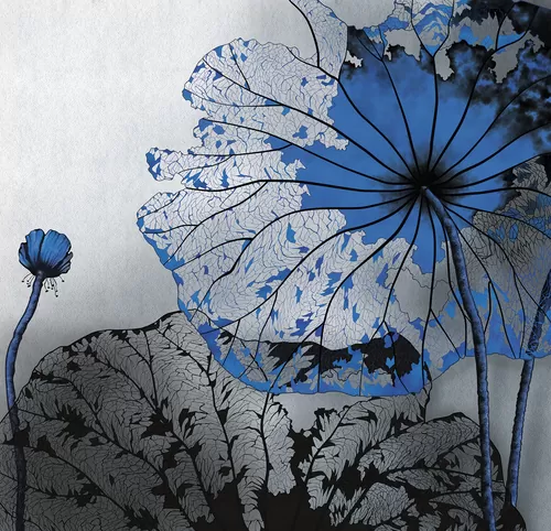 Nymphea blue