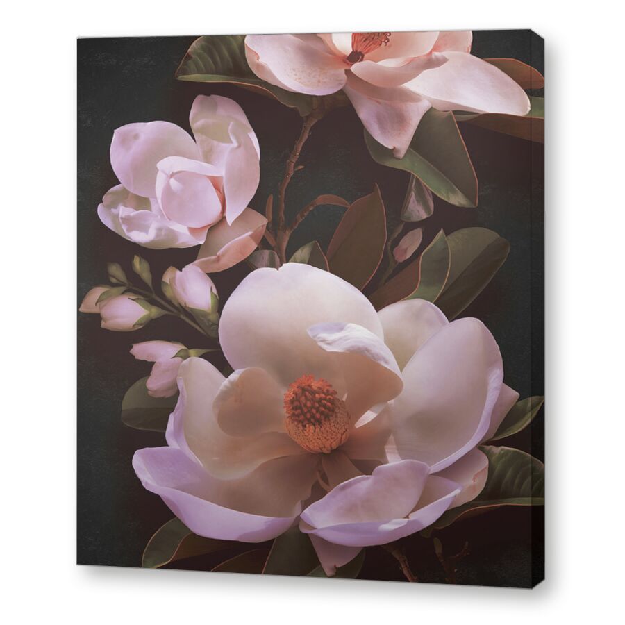 Magnolia macro на подрамнике