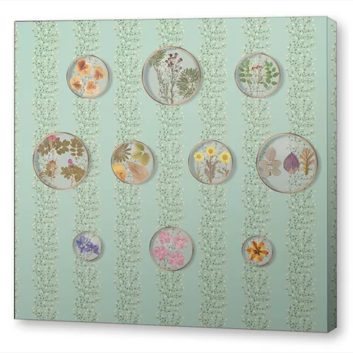 Ботаническая коллекция