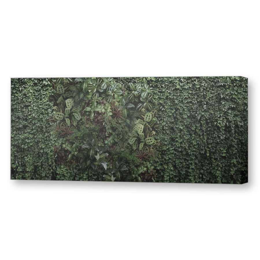 Living wall на подрамнике