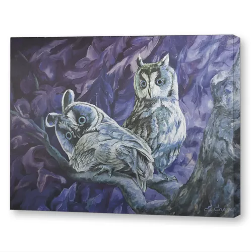 Тайное свидание3