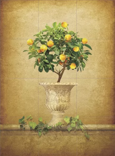 Лимонное дерево