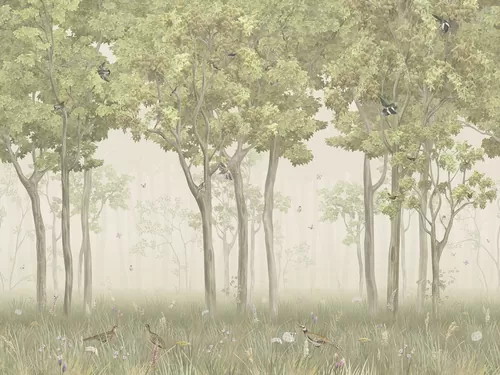 Misty grove