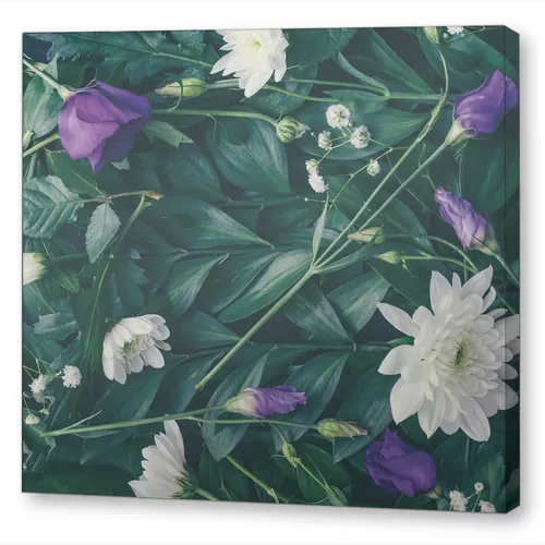 Фиолетовая эустома