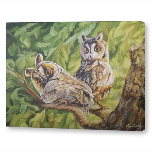 Тайное свидание лучшее