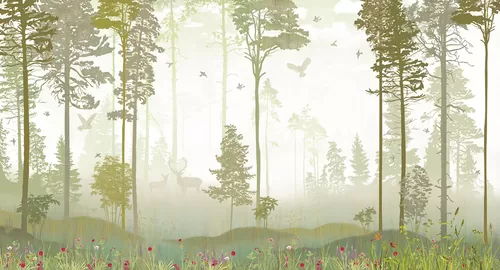 Foggy forest lime