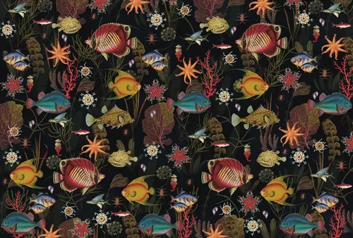 Coral reef 1