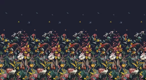 Night glade