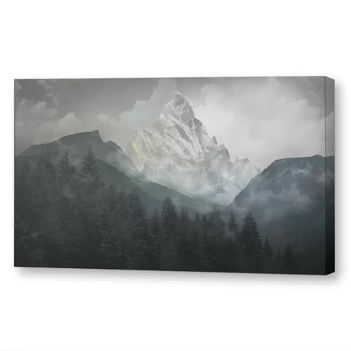 Деревья в тумане