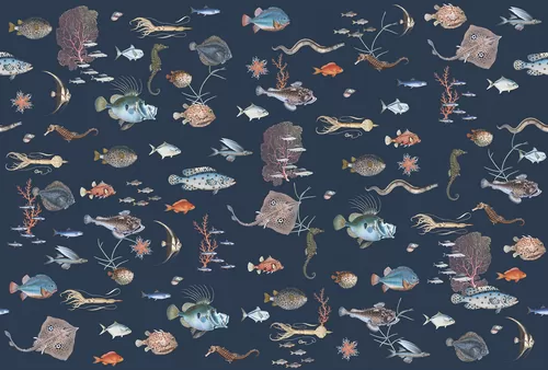 Undersea world 2