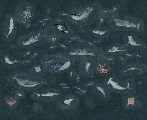 Marine Life