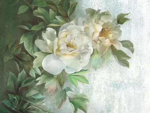 Wild rose