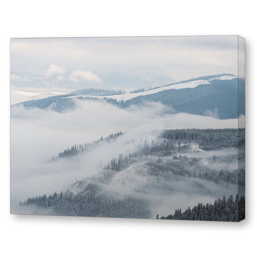Forest на подрамнике