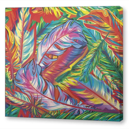 Красочные перья