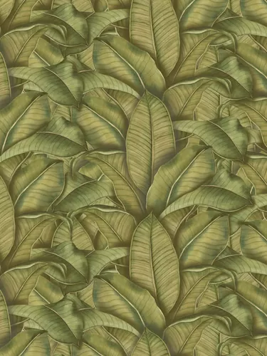 Tropical