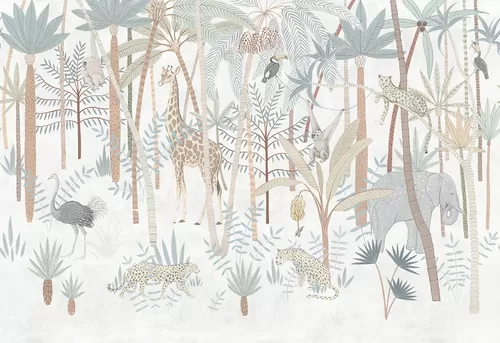 Safari