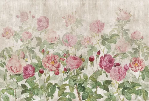 Wild roses
