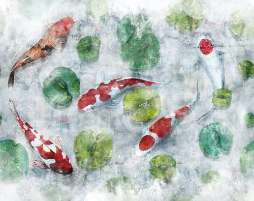 Koi