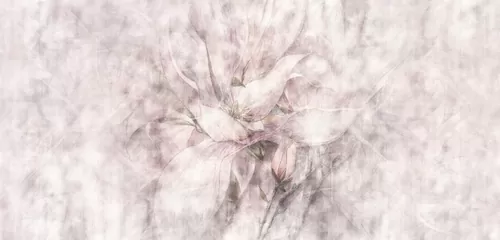 Avrora
