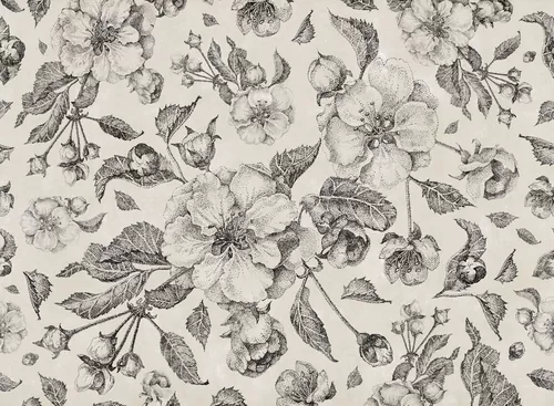 Apple Flowers