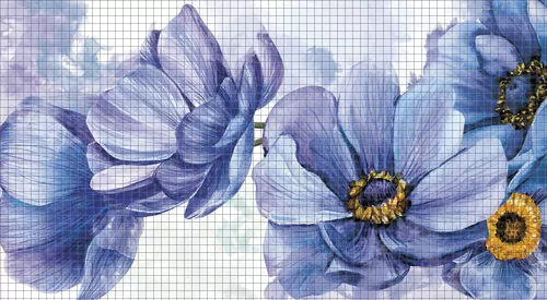 Blue anemones
