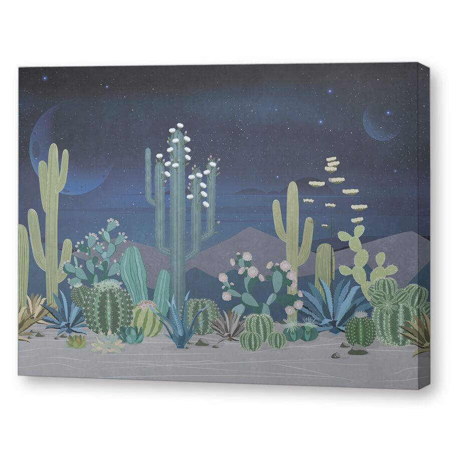 Flowering cacti на подрамнике