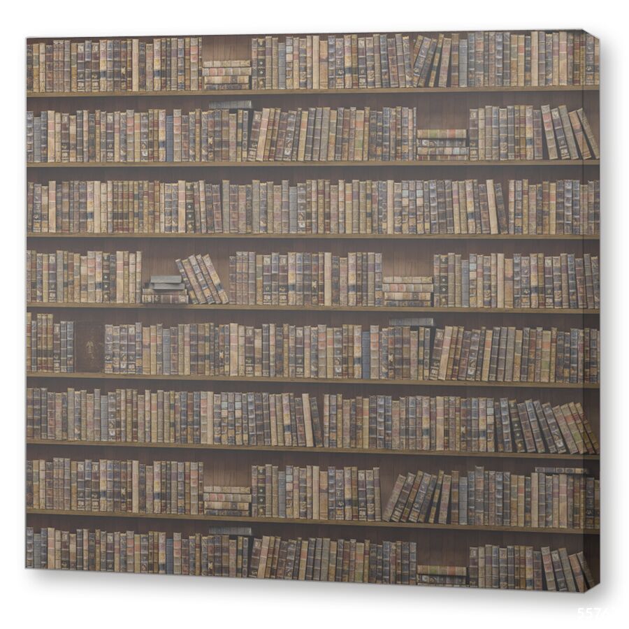 Книги на полке на подрамнике