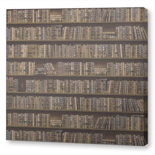 Книги на полке