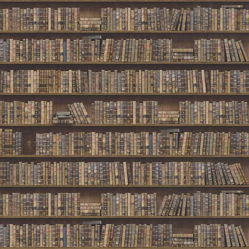 Книги на полке