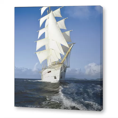 Белый фрегат