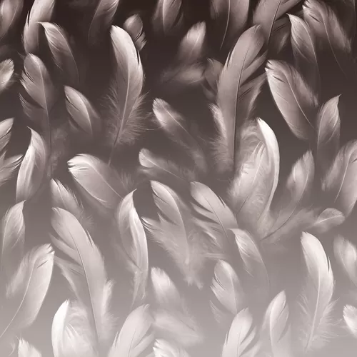 Feather
