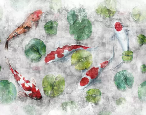 Koi