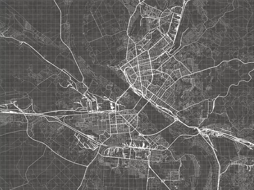 Черно-белая карта