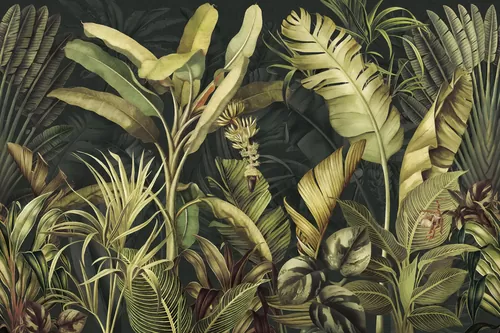 Jungle dark