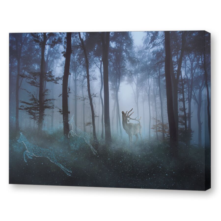 Mysterious forest на подрамнике