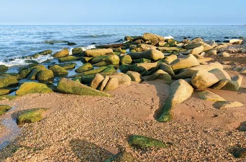 Каспийский берег