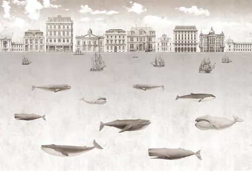 Whales 1