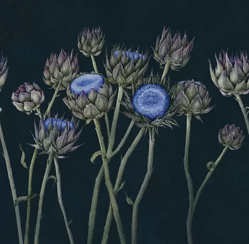 Artichoke