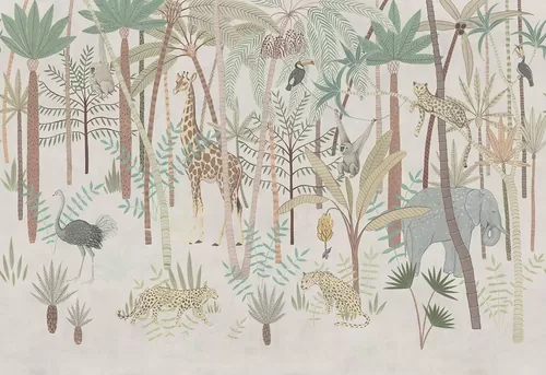 Safari